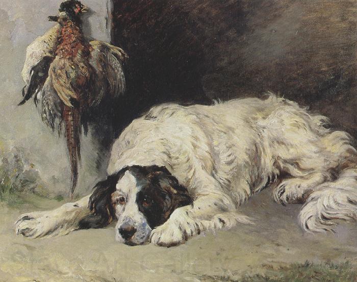John emms An English Setter at the end of the Day (mk37) Spain oil painting art